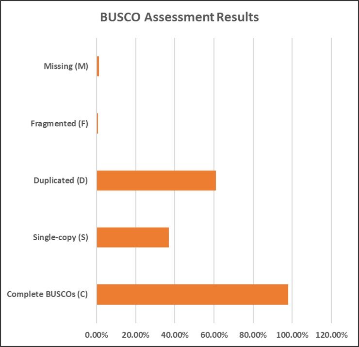 BUSCO
